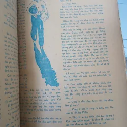 PHẬT GIÁO VIỆT NAM 1027875