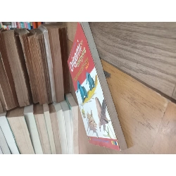 Origami for everyone Nghệ thuật xếp giấy toàn tập - Steve, Megumi Biddle 1022686