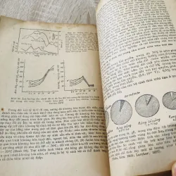 SINH THÁI HỌC THỰC VẬT 956979