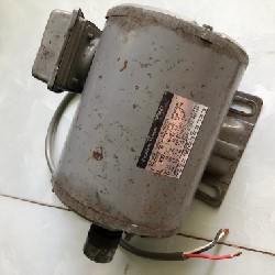 Motor Nhật Bãi