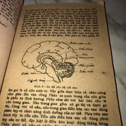 Thơ ca dân gian Việt Nam  990634