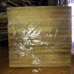 Golden Age - Samukawa Kazuyuki 783772