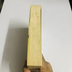 SƠN NAM – BIỂN CỎ MIỀN TÂY, MÙA LEN TRÂU & CÁC TRUYỆN KHÁC 751206