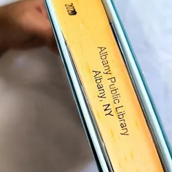 Faith Taking Flight - Julie Murphy (bìa cứng) 732643