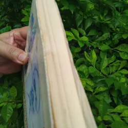 Trần Văn Giáp với sự nghiệp bảo tồn văn hóa dân tộc  1001310