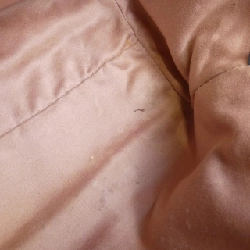 Miu Miu 5BA067 Túi - Hàng hiệu Chính hãng 766638