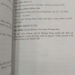 HUYỆT CHÂM CỨU TRONG THẦN KINH HỌC - HỒ HỮU LƯƠNG 999768
