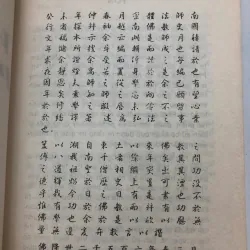 Việt Nam Phật Giáo Sử Lược - Mật Thể 762805