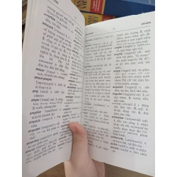 Từ điển Anh-Việt - Bùi Phụng 521222