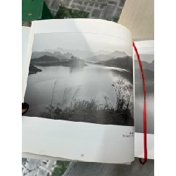 hải âu 2018 752032