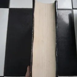 Tứ thư tập chú- Chu Hy 1000173