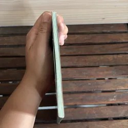 II Cây Cảnh: Xương Rồng Và Cây Mọng Nước (Sách Màu) - Dương Ngọc Hiệp 718585