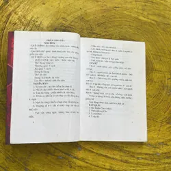 ĐỘN MAI HOA VÀ BỘC PHẾ CHÍNH TÔNG - THIỆU KHANG TIẾT 736180