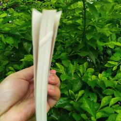 Việt Nam thảm kịch Đông Dương  1000291