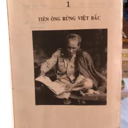 Tình Việt Bắc 1032732