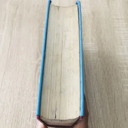 TỪ ĐIỂN HÁN - VIỆT ( Đào Duy Anh) 1000553