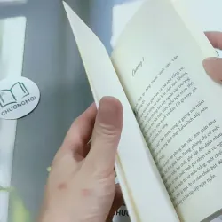 Bến Xe - Thương Thái Vi 744709