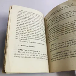 KỸ THUẬT TRỒNG VÀ GHÉP MAI 595067
