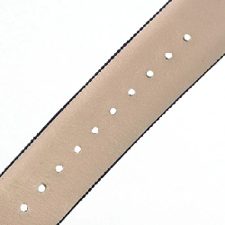 Chanel Camelia WG/D･4P H1187 WG Quartz - Hàng hiệu Authentic 875989