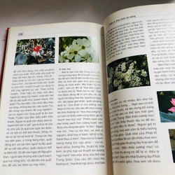 HOA CẢNH ỨNG DỤNG TRONG PHONG THUỶ 539390