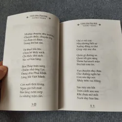 CÁNH CHIM PHAI KHẮT 720689