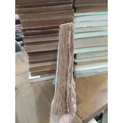 Tổ chức đời sống gia đình - Triệu Thị Chơi 779698