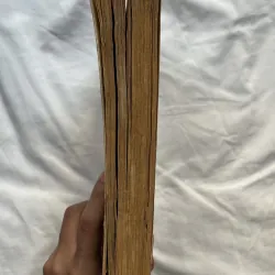 A History of the World in 10½ Chapters - Julian Barnes 790155