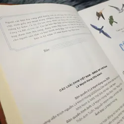 Các loài chim Việt Nam (Lê Mạnh Hùng) 736184