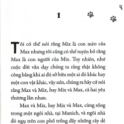 Sách Chuyện Con Mèo Và Con Chuột Bạn Thân Của Nó 674551