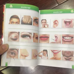 Larousse - trò chuyện khi đi du lịch 100% bằng hình gồm 1800 hình : sách du lịch  1034901