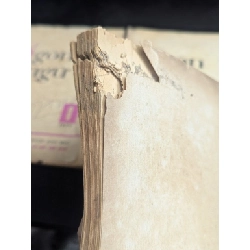 tạp chí ngôn ngữ 778551