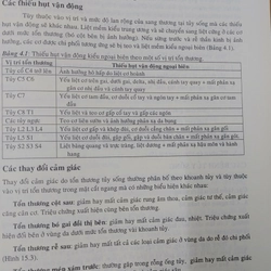 THẦN KINH HỌC  525516