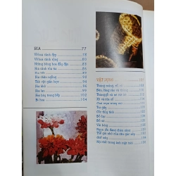 Bí Quyết Vẽ Tĩnh Vật - Huỳnh Phạm Hương Trang 469514