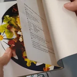 Hướng Dẫn Từng Bước Nấu Ăn Chay - Thế Hùng 727273