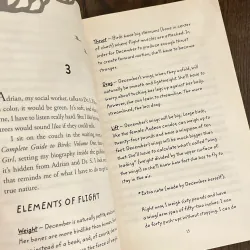 ✨𝑬𝒙𝒕𝒓𝒂𝒐𝒓𝒅𝒊𝒏𝒂𝒓𝒚 𝑩𝒊𝒓𝒅𝒔✨ 711930