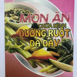 MÓN ĂN CHỮA BỆNH ĐƯỜNG RUỘT DẠ DÀY - 134 TRANG, NXB: 2005