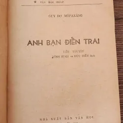 VH cổ điển Pháp: ANH BẠN ĐIỂN TRAI (Guy de Maupassant) 763728