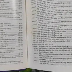 [MIỄN PHÍ BỌC SÁCH] Giải Phẫu (Đầu - Mặt - Cổ) - TS. Phạm Đăng Diệu 990450