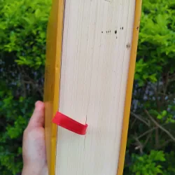 Sáng tạo và giao lưu của GS Phạm Vĩnh Cư 972237