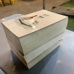 CHẠNG VẠNG, NHẬT THỰC, HỪNG ĐÔNG - TỊNH THỦY dịch 734855