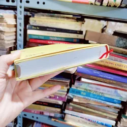 Tư liệu truyện kiều 673721