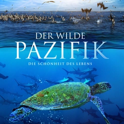 Đĩa BluRay phim tài liệu The Wild Pacific 2016 UltraHD 4K 2160p 533964