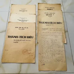 Bộ thành tích biểu xưa nữ Trung học tổng hợp Sương Nguyệt Anh, Quận 7, Thủ Đức Gia Định 1013201