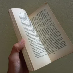 Black dogs, ian mc ewan , sách ngoại văn tiếng Anh english book  734088