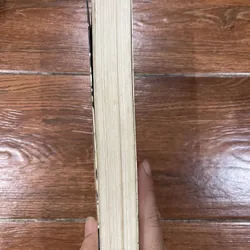 Không phải huyền thoại - Hữu Mai (4) 697241