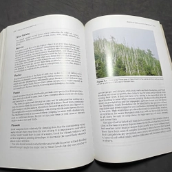 Hiking and backpacking Marni Goldenberg, Bruce Martin 317549