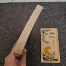 Nguồn cội - tình yêu tự do được là chính mình - osho 753275