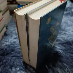 Tây Sơn bi hùng truyện (Lê Đình Danh) 1030698