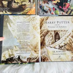 HARRY POTTER (Sách nhập) - Bộ 4 quyển Bìa cứng siêu đẹp 758753
