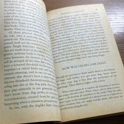 Inside of a dog Alexandra Horowitz 521160